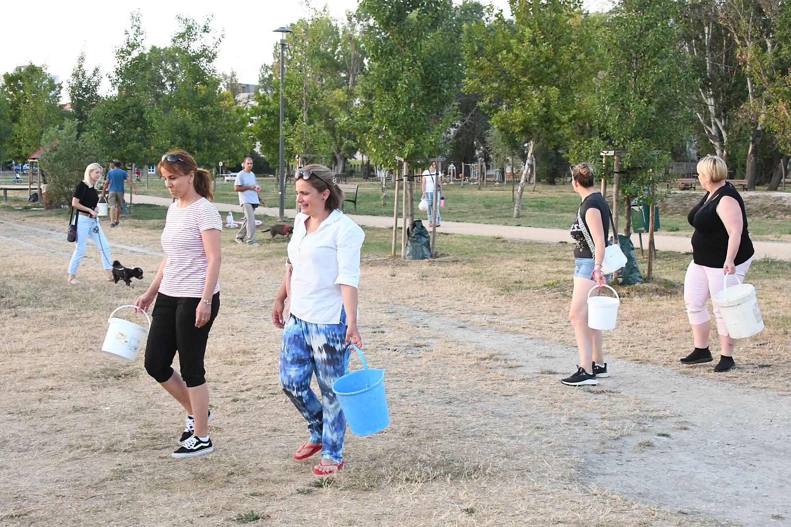 Zöld pikniket és közösségi locsolást szerveznek július 7-én a palotavárosi tavaknál